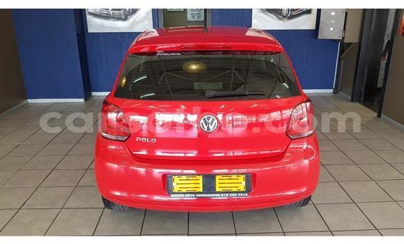 Acheter Occasion Voiture Volkswagen Polo Rouge à Thaba–Tseka, Mafeteng Acheter Occasion Voiture Volkswagen Polo Rouge à Thaba–Tseka, Mafeteng