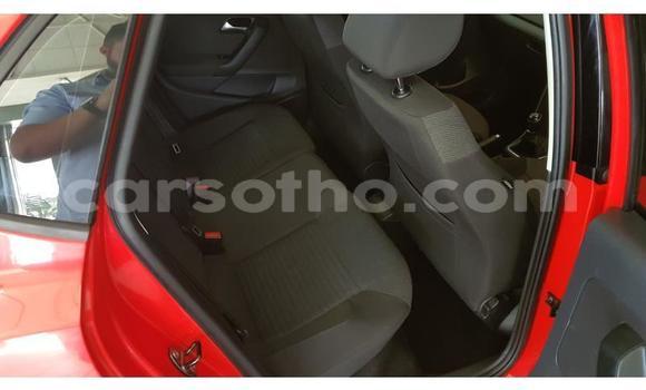 Acheter Occasion Voiture Volkswagen Polo Rouge à Thaba–Tseka, Mafeteng Acheter Occasion Voiture Volkswagen Polo Rouge à Thaba–Tseka, Mafeteng