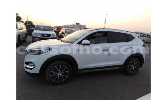 اشتري Imported Hyundai Tucson White سيارة في Import - Dubai في Maseru اشتري Imported Hyundai Tucson White سيارة في Import - Dubai في Maseru