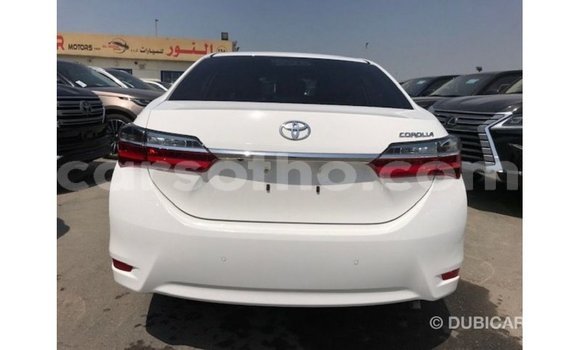 اشتري Imported Toyota Corolla White سيارة في Import - Dubai في Maseru اشتري Imported Toyota Corolla White سيارة في Import - Dubai في Maseru