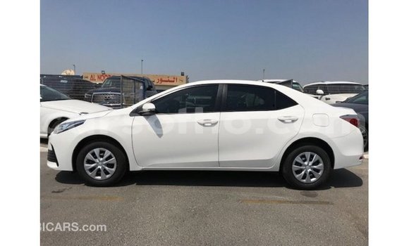 اشتري Imported Toyota Corolla White سيارة في Import - Dubai في Maseru اشتري Imported Toyota Corolla White سيارة في Import - Dubai في Maseru
