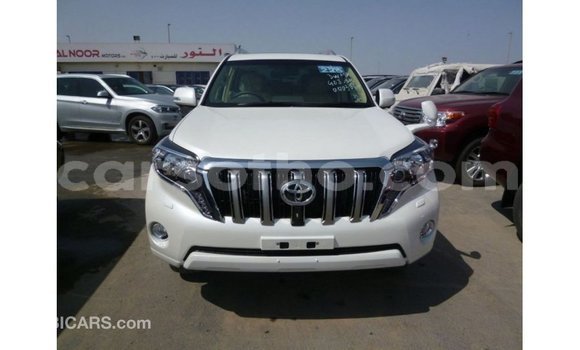 Sayi Imported Toyota Prado White Mota in Import - Dubai a Maseru Sayi Imported Toyota Prado White Mota in Import - Dubai a Maseru