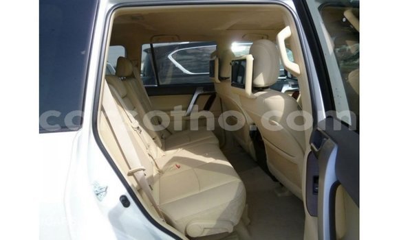 Sayi Imported Toyota Prado White Mota in Import - Dubai a Maseru Sayi Imported Toyota Prado White Mota in Import - Dubai a Maseru