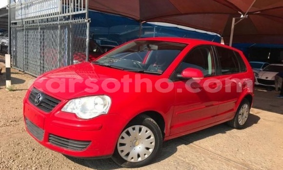 Buy Used Volkswagen Polo Red Car in Maputsoe in Leribe Buy Used Volkswagen Polo Red Car in Maputsoe in Leribe