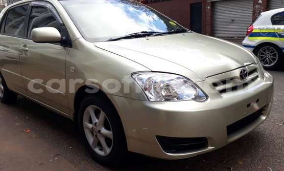 Buy Used Toyota Runx Other Car in Maputsoe in Leribe Buy Used Toyota Runx Other Car in Maputsoe in Leribe