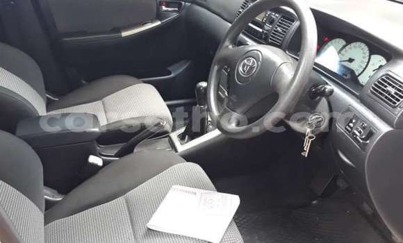 Buy Used Toyota Runx Other Car in Maputsoe in Leribe Buy Used Toyota Runx Other Car in Maputsoe in Leribe