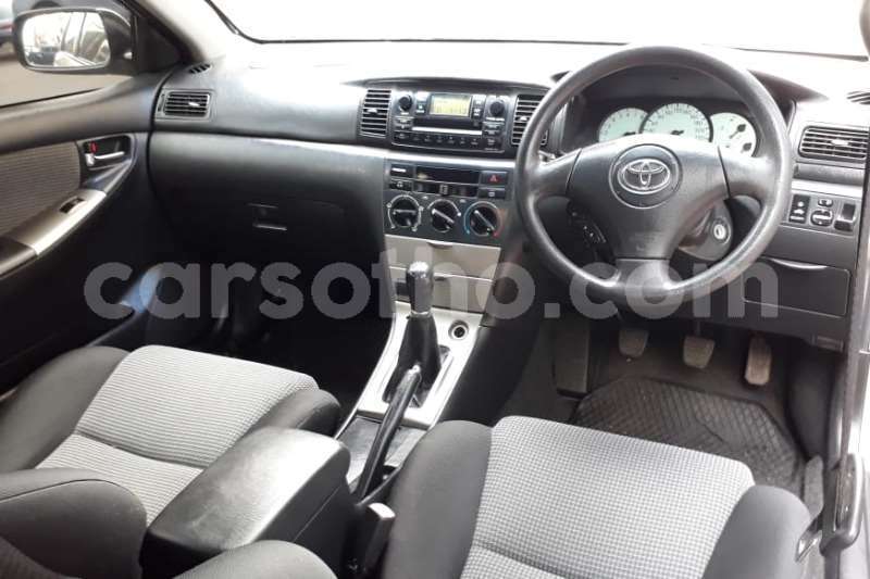 Big with watermark 3