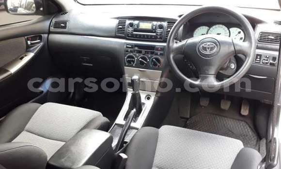 Buy Used Toyota Runx Other Car in Maputsoe in Leribe Buy Used Toyota Runx Other Car in Maputsoe in Leribe