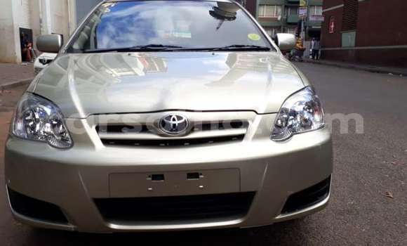 Buy Used Toyota Runx Other Car in Maputsoe in Leribe Buy Used Toyota Runx Other Car in Maputsoe in Leribe