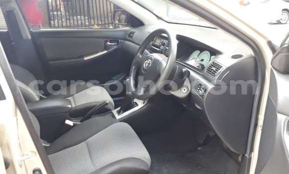 Buy Used Toyota Runx Other Car in Maputsoe in Leribe Buy Used Toyota Runx Other Car in Maputsoe in Leribe