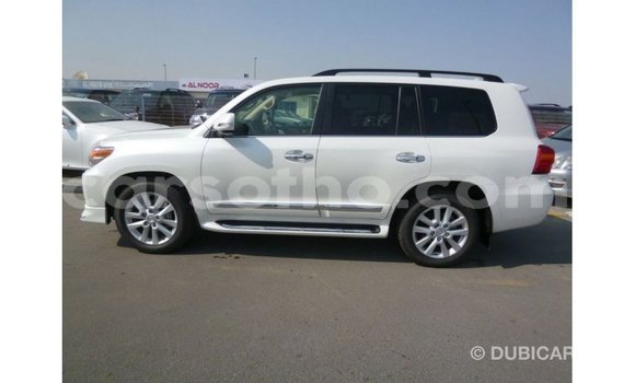 اشتري Imported Toyota Land Cruiser White سيارة في Import - Dubai في Maseru اشتري Imported Toyota Land Cruiser White سيارة في Import - Dubai في Maseru