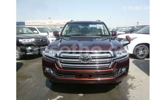 Buy Import Toyota Land Cruiser Other Car in Import - Dubai in Maseru Buy Import Toyota Land Cruiser Other Car in Import - Dubai in Maseru