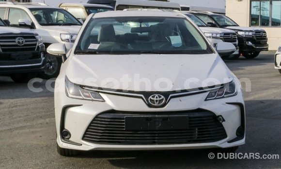 Buy Import Toyota Corolla White Car in Import - Dubai in Maseru Buy Import Toyota Corolla White Car in Import - Dubai in Maseru