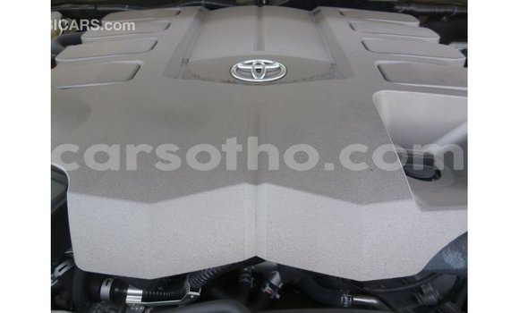Buy Import Toyota Land Cruiser Other Car in Import - Dubai in Maseru Buy Import Toyota Land Cruiser Other Car in Import - Dubai in Maseru