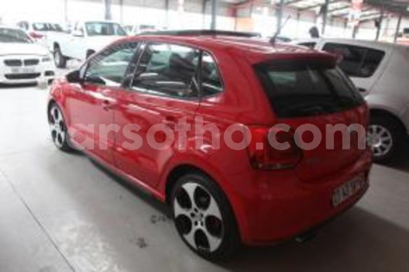 Big with watermark ct43swgp 3 