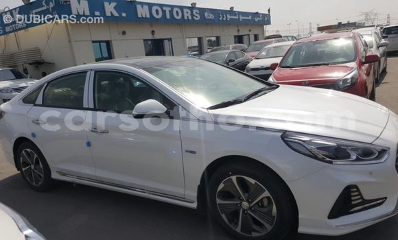 Acheter Import Voiture Hyundai Sonata Blanc à Import - Dubai, Maseru Acheter Import Voiture Hyundai Sonata Blanc à Import - Dubai, Maseru