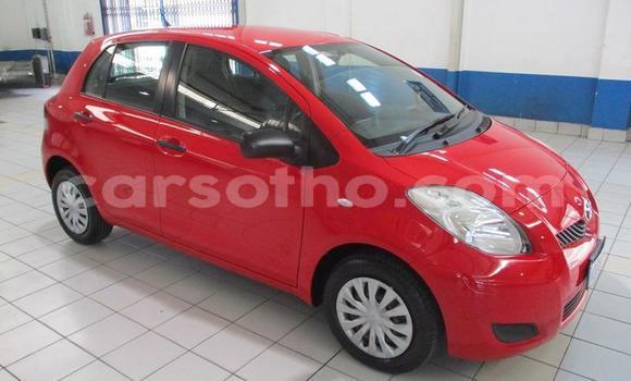 Sayi Na hannu Toyota Yaris Red Mota in Maseru a Maseru Sayi Na hannu Toyota Yaris Red Mota in Maseru a Maseru