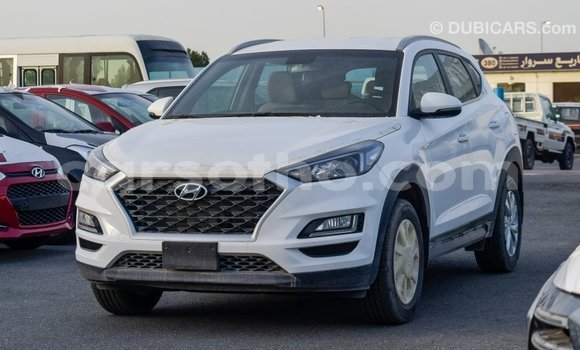 Sayi Imported Hyundai Tucson White Mota in Import - Dubai a Maseru Sayi Imported Hyundai Tucson White Mota in Import - Dubai a Maseru