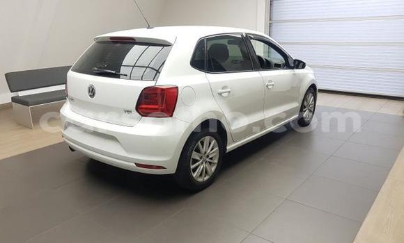 اشتري مستعمل Volkswagen Polo White سيارة في Maseru في Maseru اشتري مستعمل Volkswagen Polo White سيارة في Maseru في Maseru