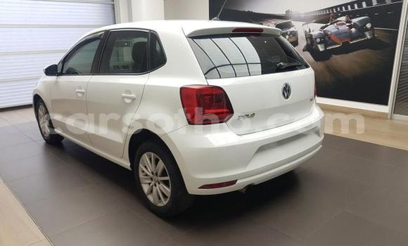 اشتري مستعمل Volkswagen Polo White سيارة في Maseru في Maseru اشتري مستعمل Volkswagen Polo White سيارة في Maseru في Maseru
