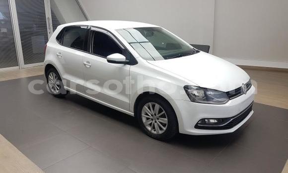 اشتري مستعمل Volkswagen Polo White سيارة في Maseru في Maseru اشتري مستعمل Volkswagen Polo White سيارة في Maseru في Maseru