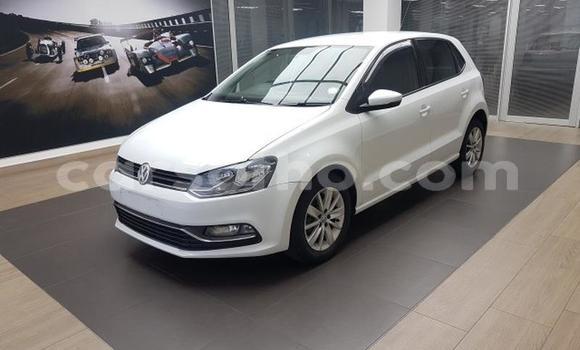 اشتري مستعمل Volkswagen Polo White سيارة في Maseru في Maseru اشتري مستعمل Volkswagen Polo White سيارة في Maseru في Maseru
