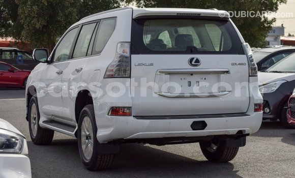 Sayi Imported Lexus GX White Mota in Import - Dubai a Maseru Sayi Imported Lexus GX White Mota in Import - Dubai a Maseru