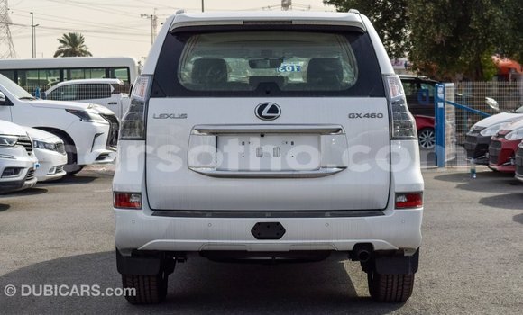 Sayi Imported Lexus GX White Mota in Import - Dubai a Maseru Sayi Imported Lexus GX White Mota in Import - Dubai a Maseru