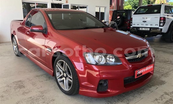 اشتري مستعمل Chevrolet Lumina Red سيارة في Maputsoa في Leribe اشتري مستعمل Chevrolet Lumina Red سيارة في Maputsoa في Leribe