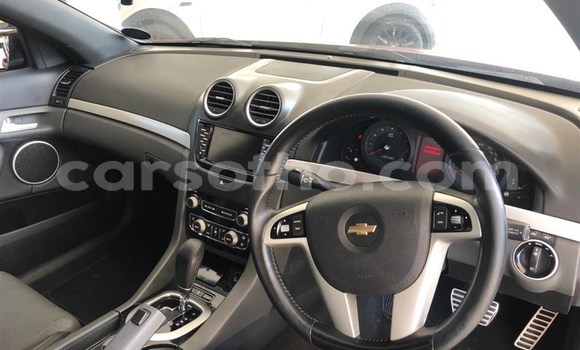 اشتري مستعمل Chevrolet Lumina Red سيارة في Maputsoa في Leribe اشتري مستعمل Chevrolet Lumina Red سيارة في Maputsoa في Leribe