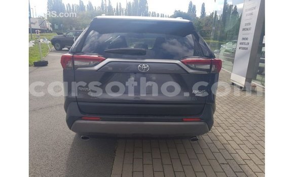 اشتري Imported Toyota RAV4 Other سيارة في Import - Dubai في Maseru اشتري Imported Toyota RAV4 Other سيارة في Import - Dubai في Maseru