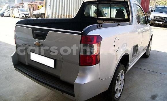 Acheter Occasion Voiture Chevrolet Vivant Gris à Thaba–Tseka, Mafeteng Acheter Occasion Voiture Chevrolet Vivant Gris à Thaba–Tseka, Mafeteng