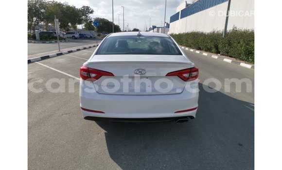 Sayi Imported Hyundai Sonata White Mota in Import - Dubai a Maseru Sayi Imported Hyundai Sonata White Mota in Import - Dubai a Maseru
