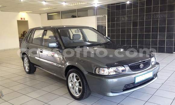 اشتري مستعمل Toyota WiLL Silver سيارة في Maseru في Maseru اشتري مستعمل Toyota WiLL Silver سيارة في Maseru في Maseru