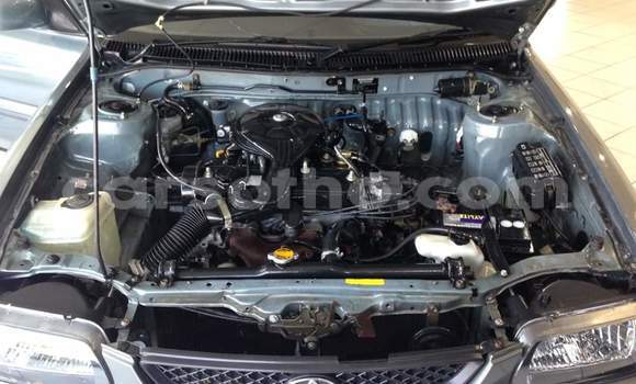اشتري مستعمل Toyota WiLL Silver سيارة في Maseru في Maseru اشتري مستعمل Toyota WiLL Silver سيارة في Maseru في Maseru