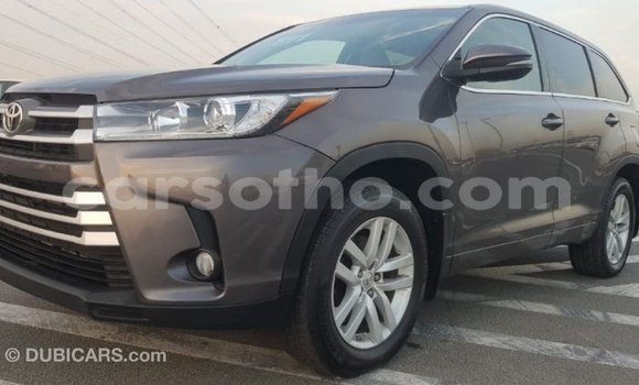 Buy Import Toyota Highlander Other Car in Import - Dubai in Maseru Buy Import Toyota Highlander Other Car in Import - Dubai in Maseru