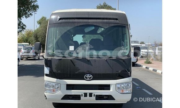 Acheter Import Voiture Toyota Coaster Blanc à Import - Dubai, Maseru Acheter Import Voiture Toyota Coaster Blanc à Import - Dubai, Maseru