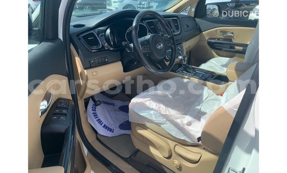 Sayi Imported Kia Carnival White Mota in Import - Dubai a Maseru Sayi Imported Kia Carnival White Mota in Import - Dubai a Maseru