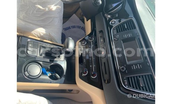 Sayi Imported Kia Carnival White Mota in Import - Dubai a Maseru Sayi Imported Kia Carnival White Mota in Import - Dubai a Maseru