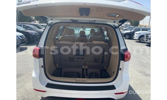 Sayi Imported Kia Carnival White Mota in Import - Dubai a Maseru Sayi Imported Kia Carnival White Mota in Import - Dubai a Maseru