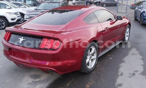 Sayi Imported Ford Mustang Red Mota in Import - Dubai a Maseru Sayi Imported Ford Mustang Red Mota in Import - Dubai a Maseru