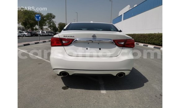 Sayi Imported Nissan Maxima White Mota in Import - Dubai a Maseru Sayi Imported Nissan Maxima White Mota in Import - Dubai a Maseru