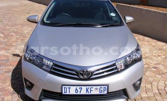 اشتري مستعمل Toyota Corolla Silver سيارة في Maseru في Maseru اشتري مستعمل Toyota Corolla Silver سيارة في Maseru في Maseru
