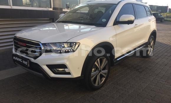 اشتري مستعمل Haval H6 White سيارة في Mokhotlong في Berea اشتري مستعمل Haval H6 White سيارة في Mokhotlong في Berea