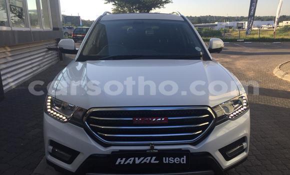 اشتري مستعمل Haval H6 White سيارة في Mokhotlong في Berea اشتري مستعمل Haval H6 White سيارة في Mokhotlong في Berea
