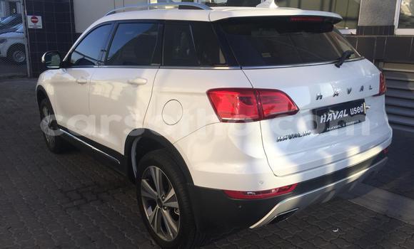 اشتري مستعمل Haval H6 White سيارة في Mokhotlong في Berea اشتري مستعمل Haval H6 White سيارة في Mokhotlong في Berea