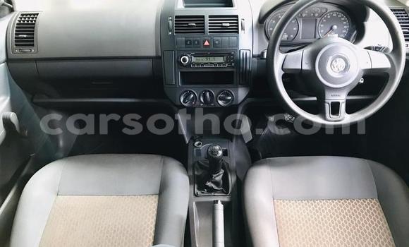 اشتري مستعمل Volkswagen Polo Red سيارة في Maseru في Maseru اشتري مستعمل Volkswagen Polo Red سيارة في Maseru في Maseru