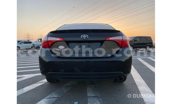 Buy Import Toyota Corolla Black Car in Import - Dubai in Maseru Buy Import Toyota Corolla Black Car in Import - Dubai in Maseru