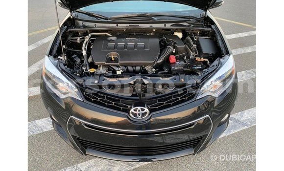 Buy Import Toyota Corolla Black Car in Import - Dubai in Maseru Buy Import Toyota Corolla Black Car in Import - Dubai in Maseru