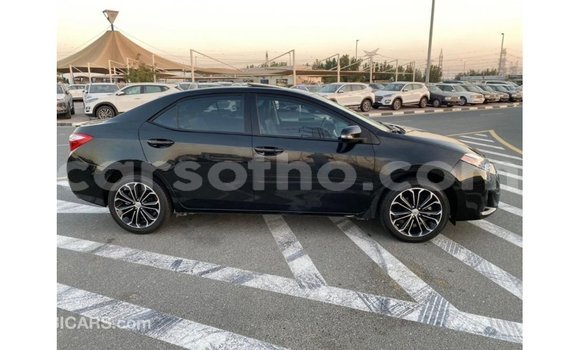 Buy Import Toyota Corolla Black Car in Import - Dubai in Maseru Buy Import Toyota Corolla Black Car in Import - Dubai in Maseru